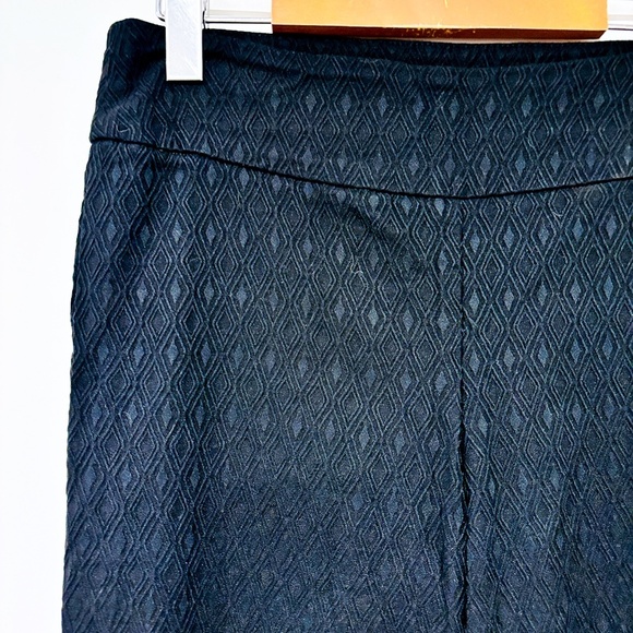 🌼NWOT🌼 S.C. & CO. Black cropped textured pants | Classic ankle style | Size 10 * - Picture 6 of 9